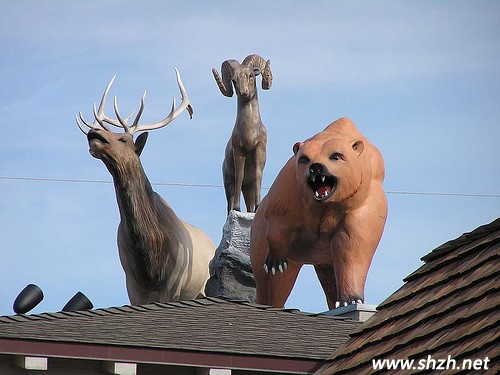 創(chuàng)意屋頂設(shè)計(jì)