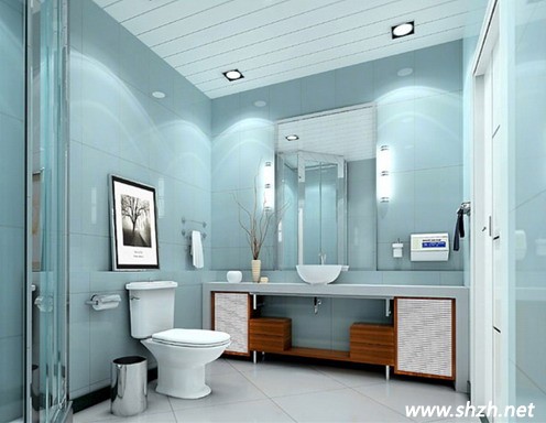淡藍的衛(wèi)浴間設(shè)計